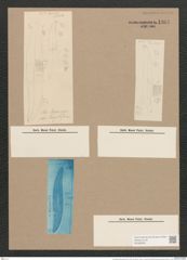 Pleurosigma hippocampus (Ehr.) W.Sm. (de-Toni-Nr.: Genus 13, Species 1056) Zeichnungen Sammlung Grunow Nr. 1901 (NHMW-BOT-W0369020)